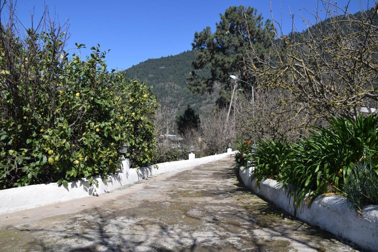 Casa Rural Juli Santa Cruz de Tenerife Esterno foto